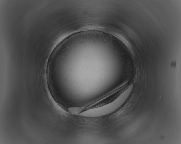 X0000090961055200708241148