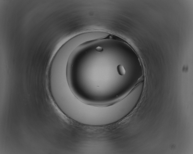 X0000090961056200708241148