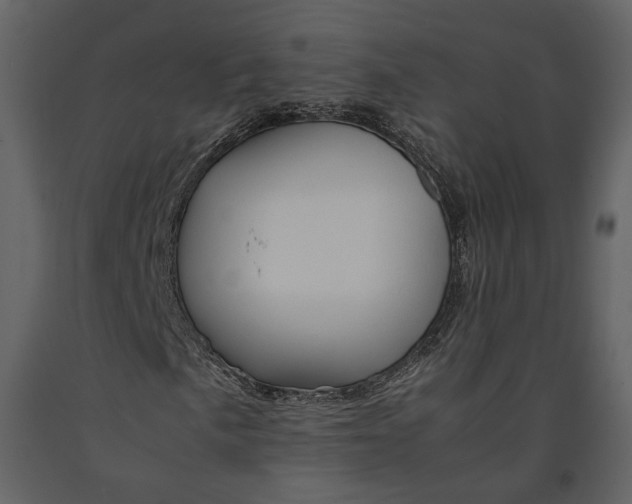 X0000090961057200708241147