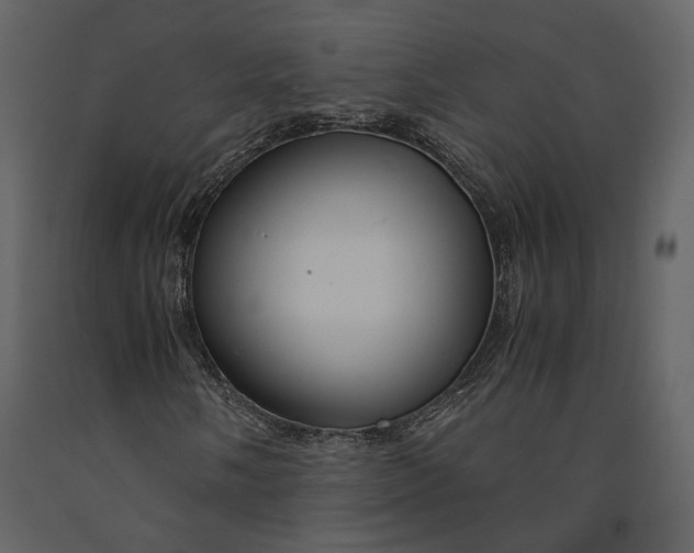 X0000090961058200708241147