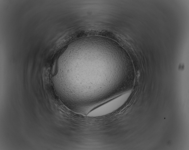 X0000090961059200708241147