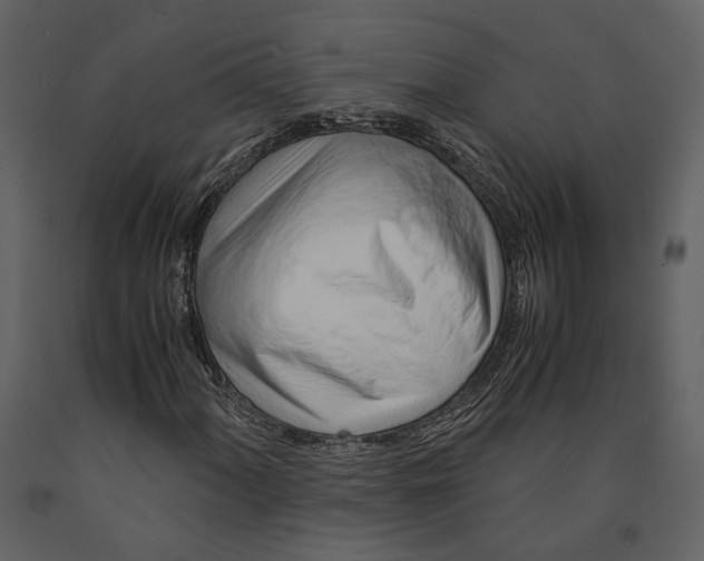 X0000090961060200708241147