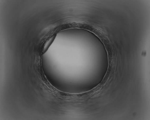 X0000090961061200708241147