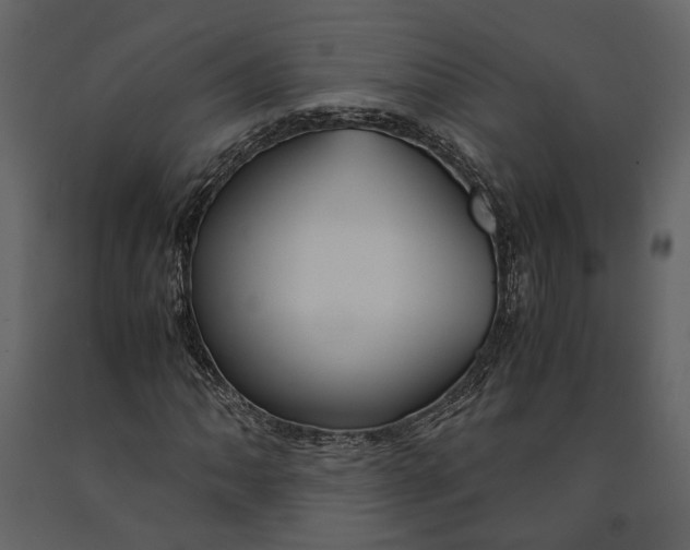 X0000090961062200708241147