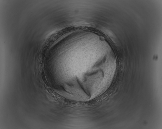 X0000090961063200708241147