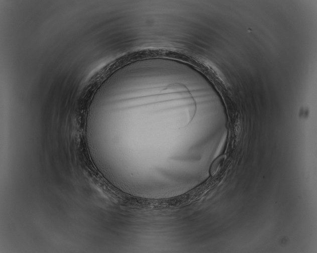 X0000090961064200708241147