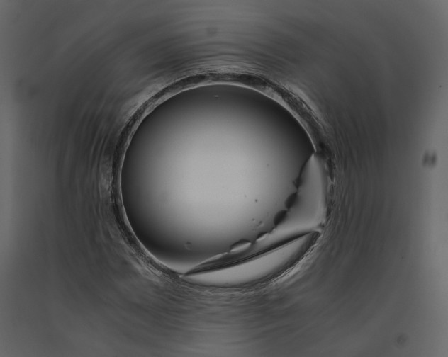 X0000090961065200708241147