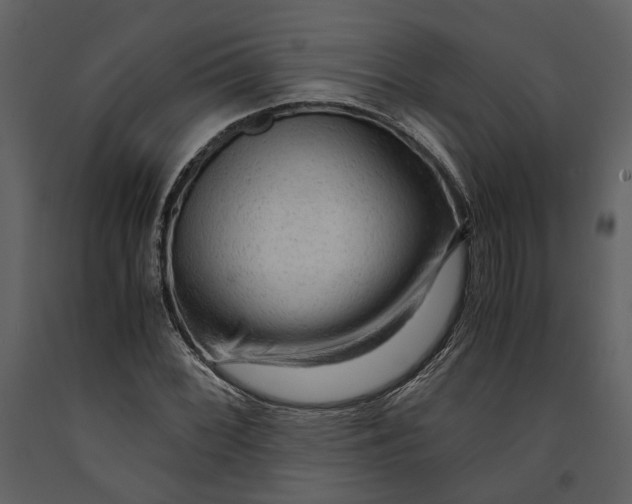 X0000090961068200708241147