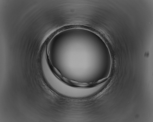 X0000090961069200708241147
