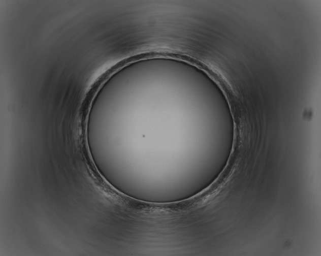 X0000090961070200708241147