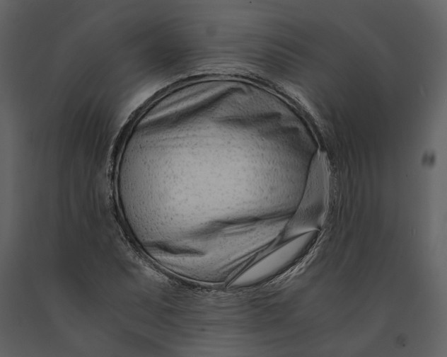 X0000090961071200708241147