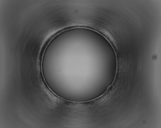 X0000090961072200708241147
