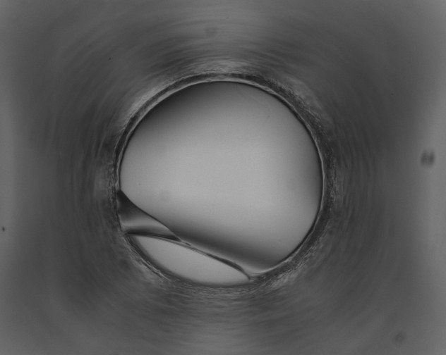 X0000090961073200708241147