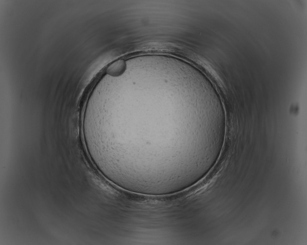 X0000090961075200708241147