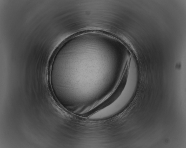 X0000090961076200708241147