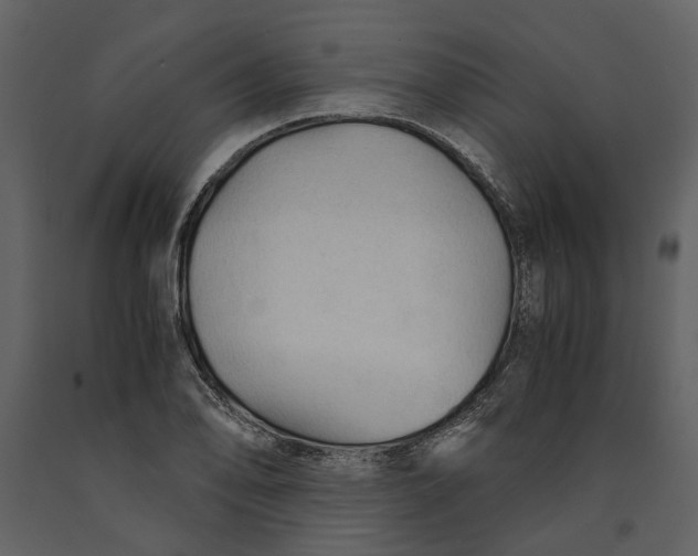 X0000090961078200708241147