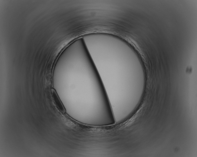 X0000090961081200708241147
