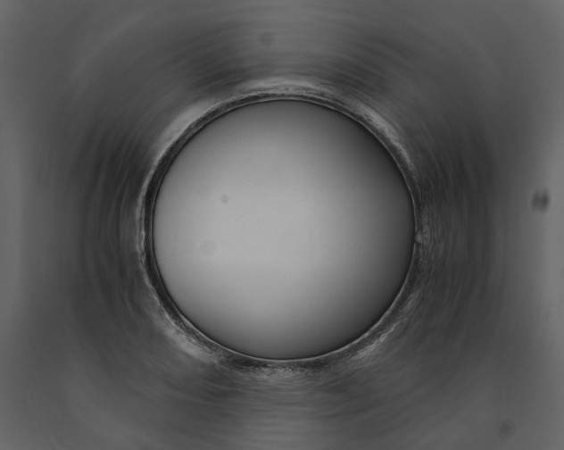 X0000090961082200708241147