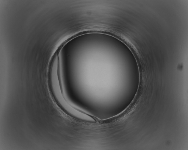 X0000090961085200708241147