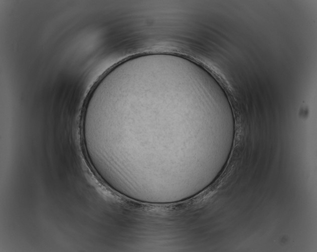 X0000090961086200708241147