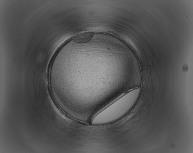 X0000090961087200708241147