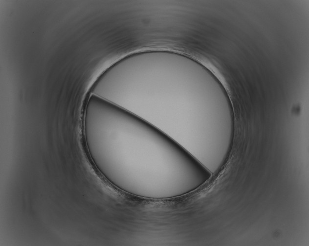 X0000090961093200708241147