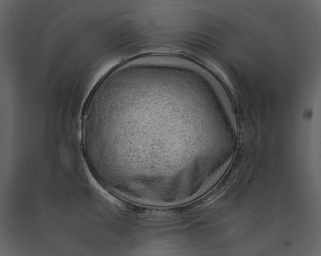 X0000090961095200708241147