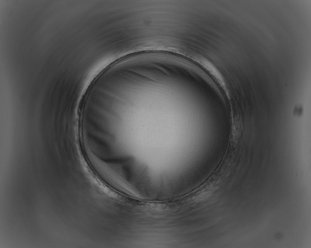 X0000090961096200708241147