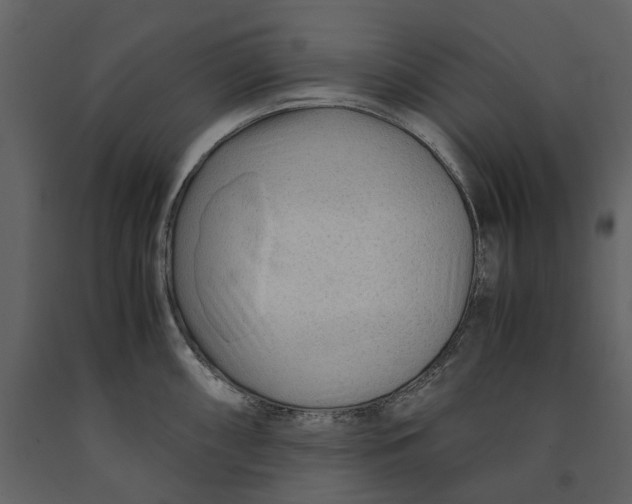 X0000090961098200708241147