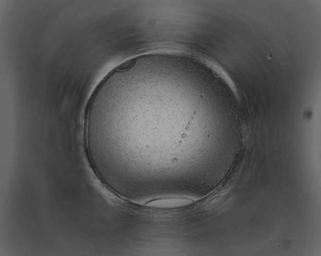 X0000090961099200708241147