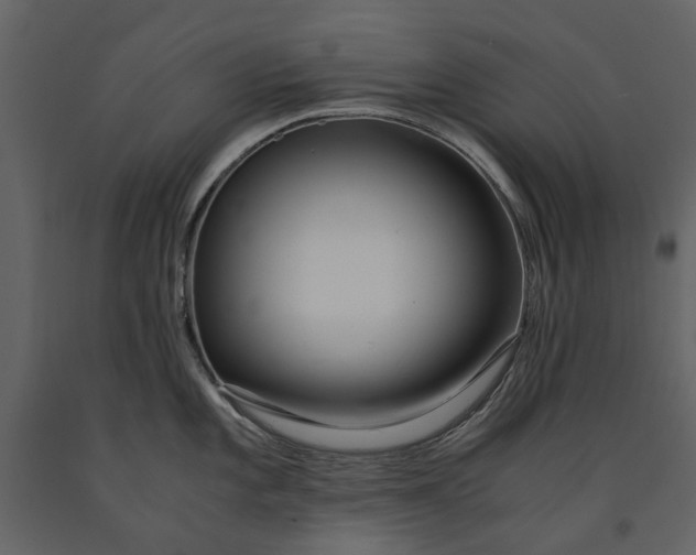 X0000090961101200708241147