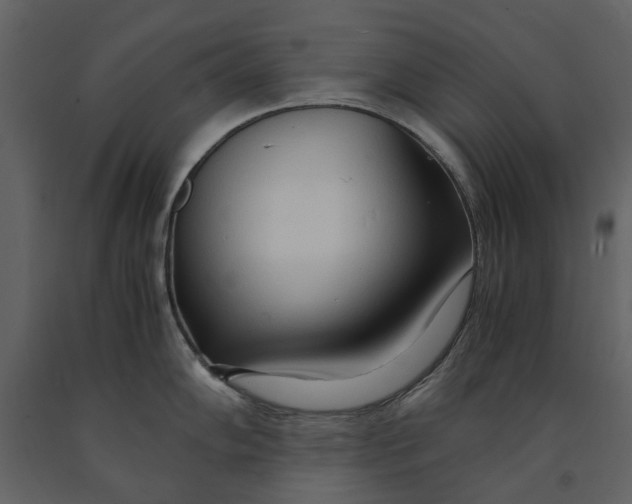 X0000090961102200708241147