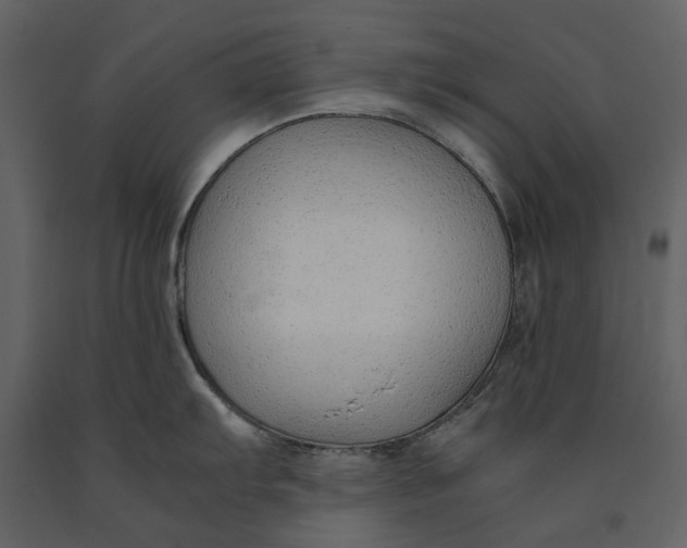 X0000090961103200708241147