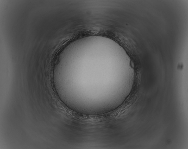X0000090961105200708241146