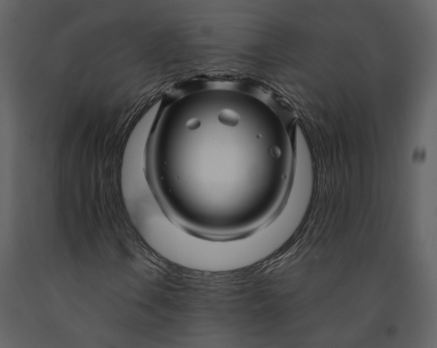 X0000090961106200708241146