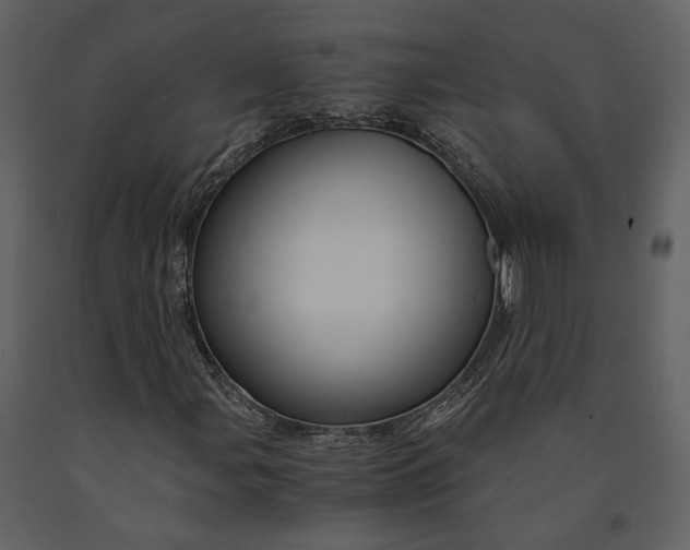 X0000090961107200708241146