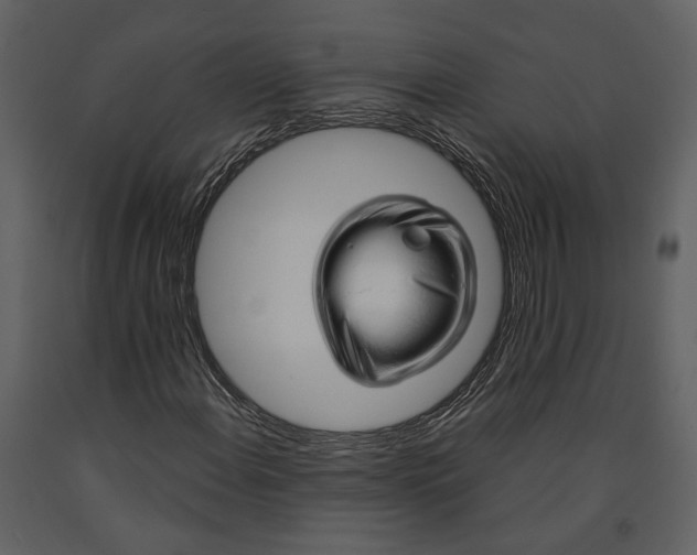X0000090961108200708241146