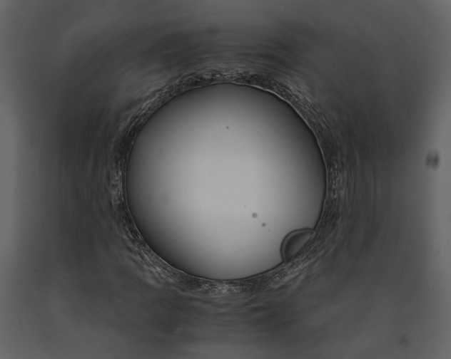 X0000090961109200708241146
