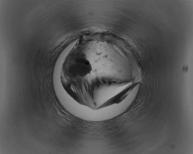 X0000090961110200708241146