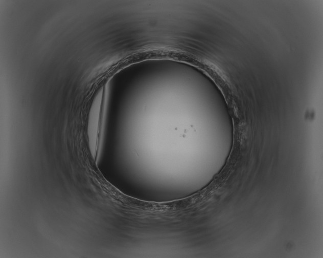 X0000090961111200708241146