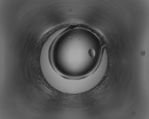 X0000090961112200708241146