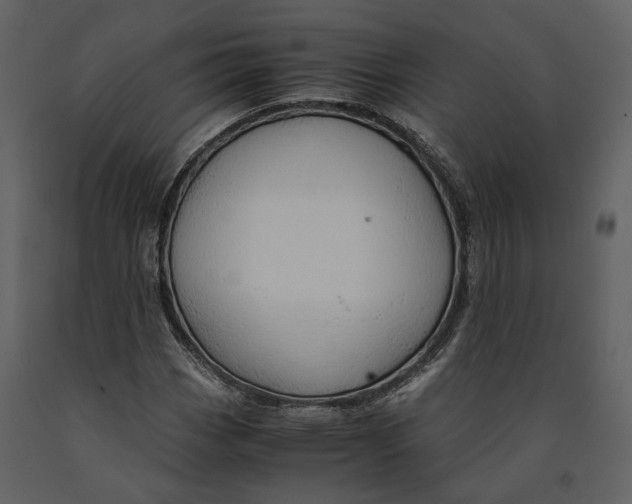 X0000090961113200708241146