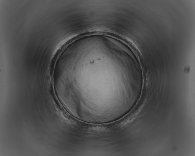 X0000090961117200708241146