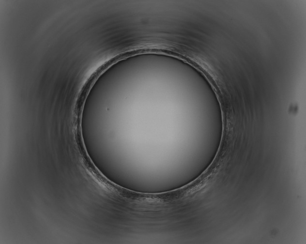 X0000090961119200708241146