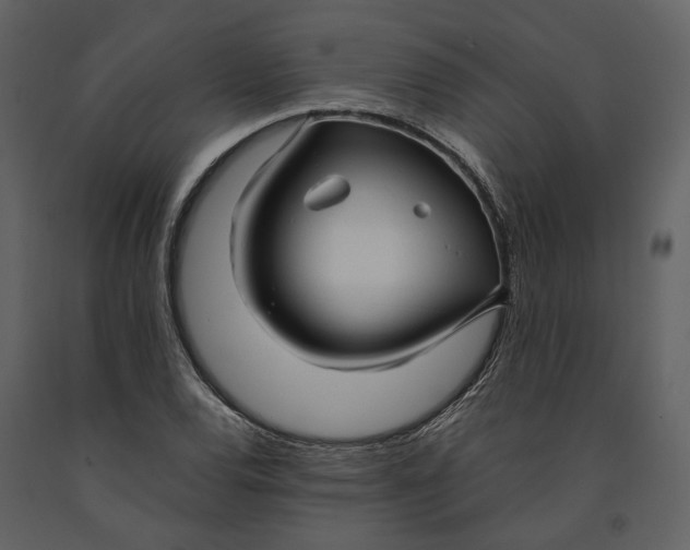 X0000090961120200708241146