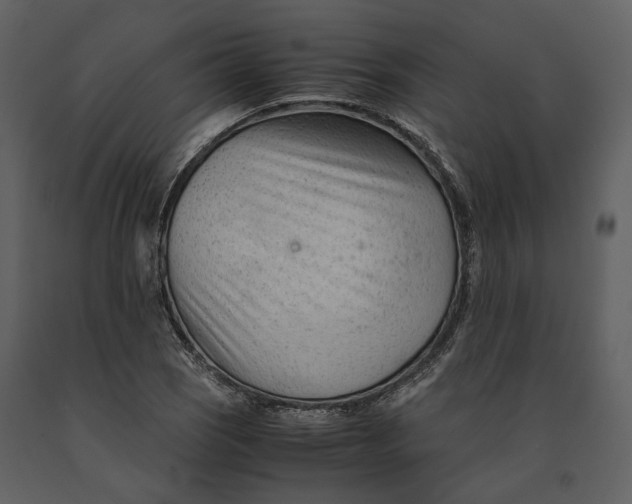 X0000090961121200708241146