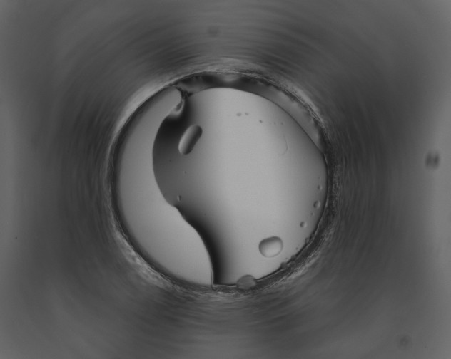 X0000090961122200708241146