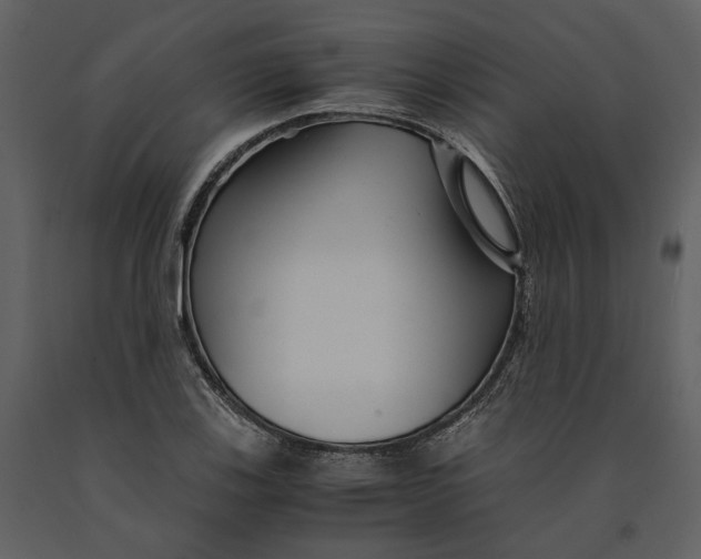 X0000090961123200708241146