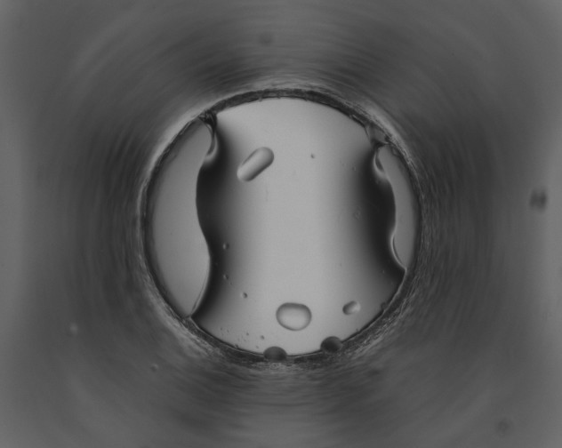 X0000090961124200708241146