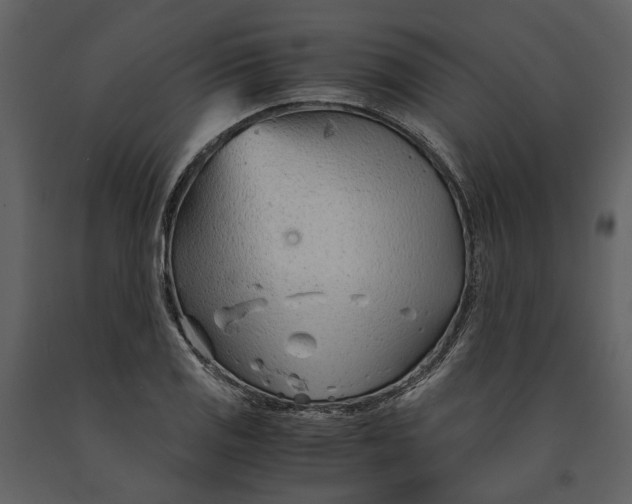 X0000090961125200708241146
